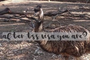 tss-visa-after-you-are-emu-asking-is